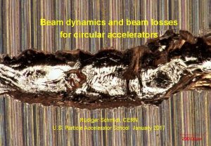 Beam dynamics and beam losses for circular accelerators