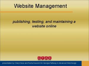 Website Management publishing testing and maintaining a website