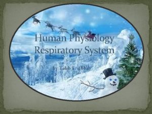 Human Physiology Respiratory System by Talib F Abbas
