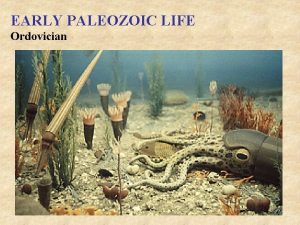 EARLY PALEOZOIC LIFE Ordovician EARLY PALEOZOIC LIFE Silurian