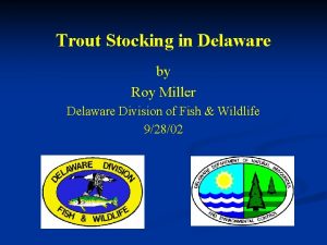 Trout Stocking in Delaware by Roy Miller Delaware
