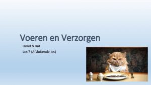 Voeren en Verzorgen Hond Kat Les 7 Afsluitende