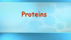 Proteins 1 Proteins Polypeptides Chains of Amino acids