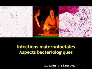 Infections maternofoetales Aspects bactriologiques A Gaudart D 1