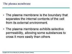 The plasma membrane The plasma membrane is the