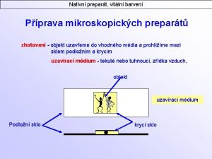 Nativn prepart vitln barven Pprava mikroskopickch prepart zhotoven