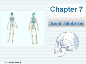 Pearson education skull diagram