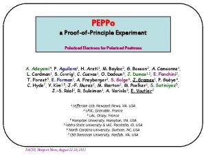 PEPPo a ProofofPrinciple Experiment Polarized Electrons for Polarized
