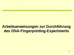 Arbeitsanweisungen zur Durchfhrung des DNAFingerprintingExperiments 1 1 Ansetzen