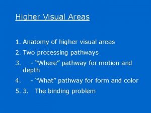 Higher Visual Areas 1 Anatomy of higher visual