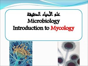 Microbiology Introduction to Mycology FUNGI Fungi are eukaryotic