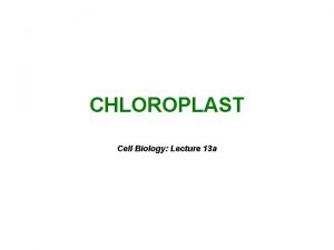 CHLOROPLAST Cell Biology Lecture 13 a WHY ARE