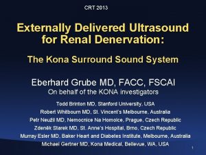 CRT 2013 Externally Delivered Ultrasound for Renal Denervation