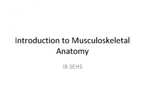 Introduction to Musculoskeletal Anatomy IB SEHS Starter The