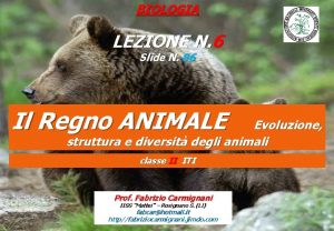 BIOLOGIA LEZIONE N 6 Slide N 86 Il