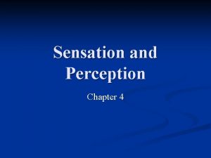 Sensation and Perception Chapter 4 Sensation and Perception