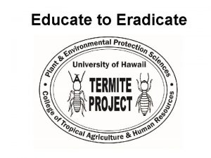 Disadvantages of termites