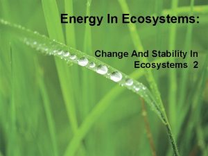Energy In Ecosystems Change And Stability In Ecosystems