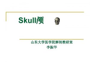 Skull The skull is composed of 23 bones