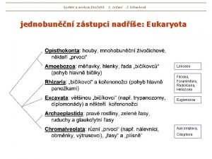 Systm a evoluce ivoich 1 cvien J Schenkov