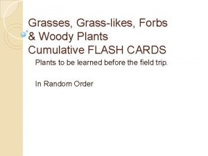 Grasses Grasslikes Forbs Woody Plants Cumulative FLASH CARDS