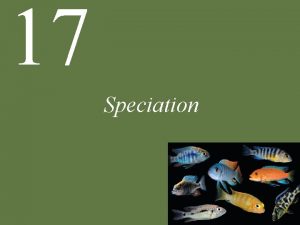 17 Speciation Chapter 17 Speciation Key Concepts 17