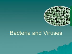 Bacteria and Viruses Bacteria u Bacteria are microscopic