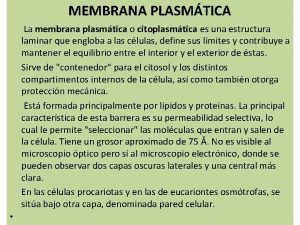 MEMBRANA PLASMTICA La membrana plasmtica o citoplasmtica es