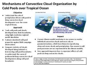 Mechanisms of Convective Cloud Organization by Cold Pools