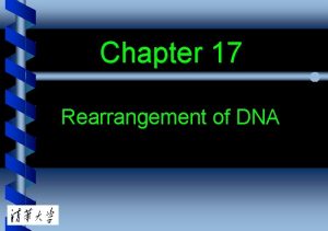 Chapter 17 Rearrangement of DNA 17 1 Introduction