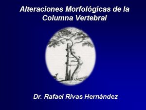 Alteraciones Morfolgicas de la Columna Vertebral Dr Rafael
