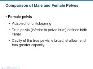 Comparison of Male and Female Pelves Female pelvis