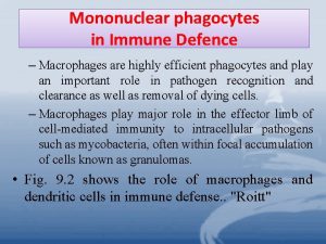 Mononuclear phagocytes in Immune Defence Macrophages are highly