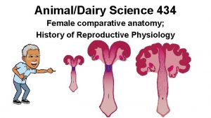 AnimalDairy Science 434 Female comparative anatomy History of