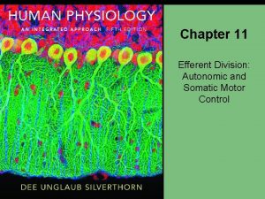 Chapter 11 Efferent Division Autonomic and Somatic Motor