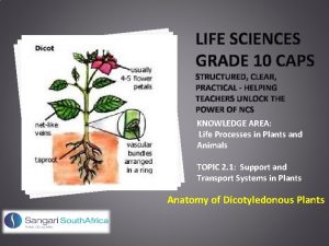 LIFE SCIENCES GRADE 10 CAPS STRUCTURED CLEAR PRACTICAL