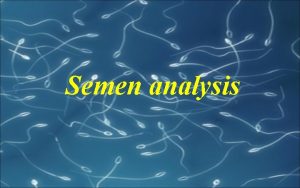 Semen analysis Introduction n A semen analysis measures