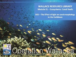 WALLACE RESOURCE LIBRARY Module 01 Ecosystems Coral Reefs