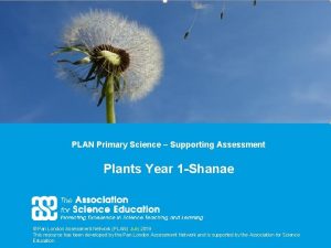 PLAN Primary Science Supporting Assessment Plants Year 1