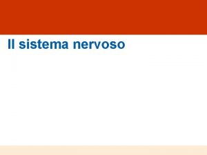 Il sistema nervoso Struttura e funzione del sistema