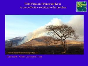 Wild Fires in Primorski Krai A cost effective