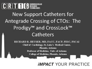 New Support Catheters for Antegrade Crossing of CTOs