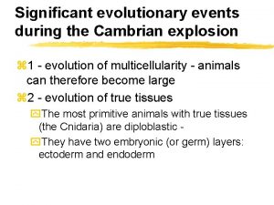 Significant evolutionary events during the Cambrian explosion z