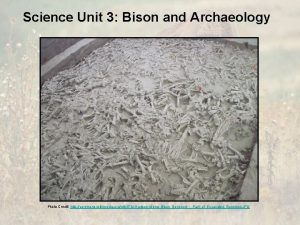 Science Unit 3 Bison and Archaeology Photo Credit