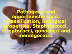 Pathogenic and opportunistic cocci Classification biological properties Staphylococci