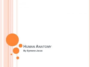 HUMAN ANATOMY By Symone Jacas TABLE OF CONTENTS