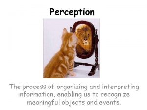 Perception The process of organizing and interpreting information