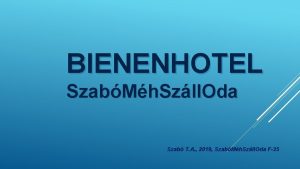 BIENENHOTEL SzabMh Szll Oda Szab T A 2019