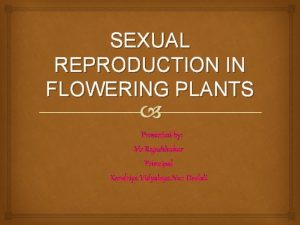 Double fertilization in angiosperms