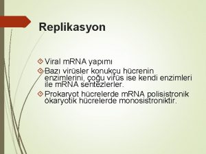 Replikasyon Viral m RNA yapm Baz virsler konuku